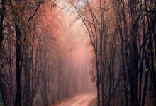 易倍体育:梅西破門收獲代表阿根廷參與的第157球!超越C羅成歷史第一人!.