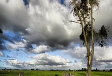 20-21賽季德甲聯賽第12輪比賽集錦.